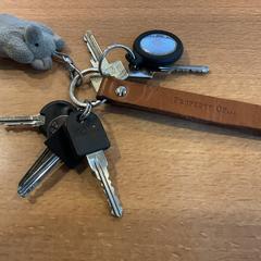 Klíče, jak nahlášeno Gemeente Amsterdam - Bureau Gevonden Voorwerpen pomocí iLost