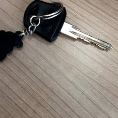 İLost kullanarak Arriva West-Brabant tarafından bildirildiği gibi Anahtar Autosleutel