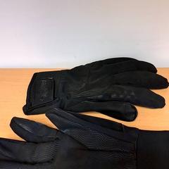 Luvas, segundo informou Keolis Lund usando iLost