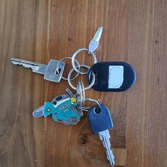 Sleutelbos, jak bylo nahlášeno na iLost