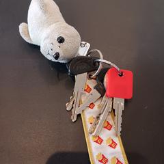 Sleutel, zgłoszono przez RRReis IJssel-Vecht przy użyciu iLost