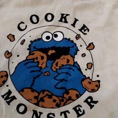 Tasje Linnen, segons ha informat Arriva Friesland / Groningen mitjançant iLost