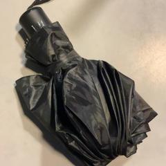 Paraply Zwart, rapporterat av Artis med iLost