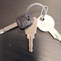 키체인, iLost를 사용하여 Breng Nijmegen에 보고됨