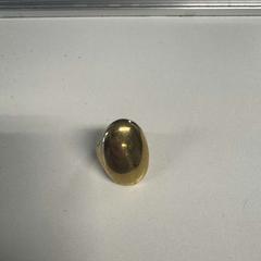 Ring | Brabanthallen, zoals gemeld door Libéma Beurzen en Evenementen met iLost