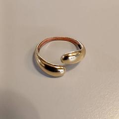 Anell, segons ha informat Padualaan 99 mitjançant iLost