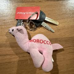 Sleutelbosje met twee sleutels, iLost'a bildirildiği gibi