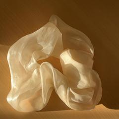 Banda per al cap, segons ha informat Schönbrunn "Group Center" mitjançant iLost