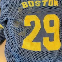 Camisa, segons ha informat Artis mitjançant iLost