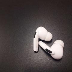 Witte oortjes, segons ha informat Universiteit Gent - Blandijn mitjançant iLost