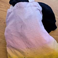 Coixí, segons ha informat GVB mitjançant iLost