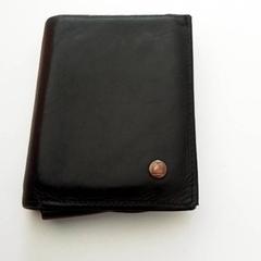 Wallet Delaplace, as reported by ilévia using iLost