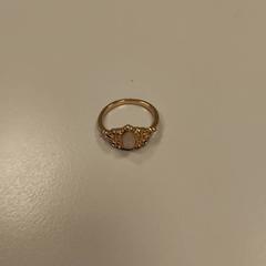 Ring, as reported by Vrije Universiteit Amsterdam using iLost