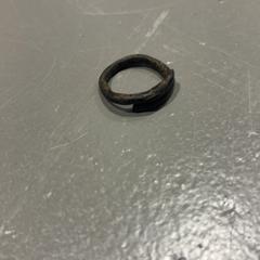 Anel, segundo informou Fenix usando iLost