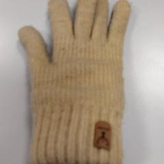 Handschoen, zoals gemeld door Vrije Universiteit Amsterdam met iLost
