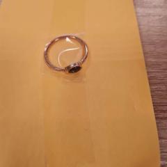 Ring, as reported by Breda University of Applied Sciences Mgr. Hopmansstraat using iLost