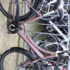 Bicicleta feminina Batavus, segundo informou Stadswerk072 usando iLost