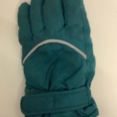 グローブ Groen がiLostで Artis によって報告されました