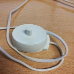 Charger brosse a dent, iLost를 사용하여 The Dominican에 보고됨