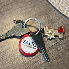 Sleutel bos met Salto hanger, jak bylo nahlášeno na iLost