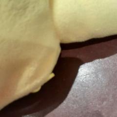 Children's backpack jaune, as reported by TCL using iLost