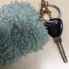 Kulcs Abus, amint azt Haaglanden Medisch Centrum az iLost segítségével jelentette.