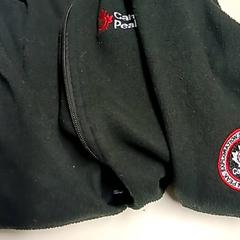 Mellény, amint azt Vrije Universiteit Brussel (VUB) az iLost segítségével jelentette.