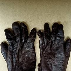 Luvas, como reportado por Qbuzz GD Groningen Peizerweg utilizando o iLost