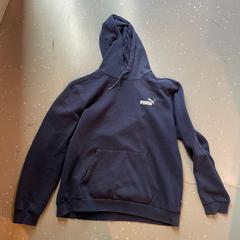 هودي، كما تم الإبلاغ عنه بواسطة Room Mate Bruno عبر iLost