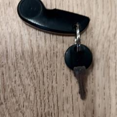 Fahrradschlüssel, gemeldet von RRReis Trein Amersfoort / Ede-Wageningen über iLost