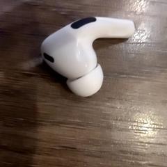 Mus, rapporterat av Leonardo Royal Hotel Amsterdam med iLost