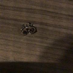 Anillo, ha sido reportado por Van der Valk Hotel Zwolle con iLost