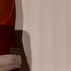 Sko, som rapportert av De Efteling ved bruk av iLost