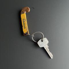 Sleutel aan hanger, ha sido reportado a iLost