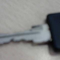 Sleutels, zoals gemeld door Walibi Holland met iLost