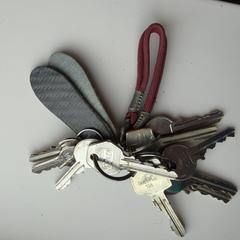 Sleutelbos, jak bylo nahlášeno na iLost