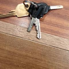 Giltza-giltza, gisa salatu by Gemeente Heemstede iLost erabiliz