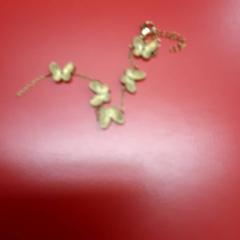 Náramek, jak nahlášeno UvA REC pomocí iLost