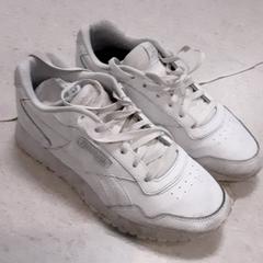 Buty Wit, zgłoszono przez LUMC przy użyciu iLost