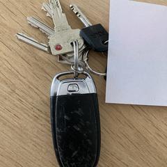 Sleutelbos, iLost-i jakinarazi zaion moduan