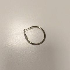 Earring, as reported by Vrije Universiteit Amsterdam using iLost