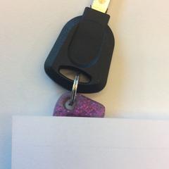 Key, as reported by Gemeente Barneveld using iLost