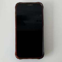 Smartphone Apple, segons ha informat Regio Limburg - Leuven mitjançant iLost