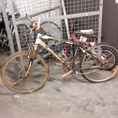 Cykel schwinn Zwart, rapporterat av Fietsdepot Hasselt med iLost