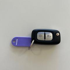 Chave do coche met sleutelhanger kenteken, segundo informou Gemeente Ede usando iLost