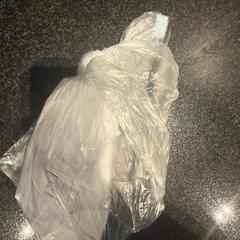 Szczoteczka do zębów, zgłoszono przez Hotel Van der Valk Harderwijk op de Veluwe przy użyciu iLost