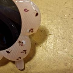 Óculos de sol, como reportado por Avonturenboerderij Molenwaard utilizando o iLost