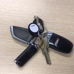 Llavero, ha sido reportado por Gemeente Arnhem con iLost