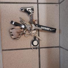 Sleutelbos, jak bylo nahlášeno na iLost