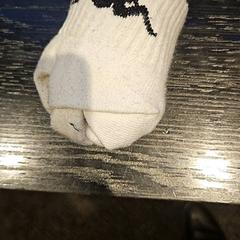 Mitjons, segons ha informat Van der Valk Hotel Utrecht mitjançant iLost